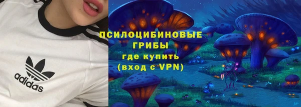 mix Каменка