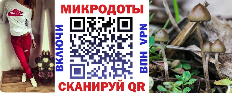 Псилоцибиновые грибы GOLDEN TEACHER  Купить где  Светлый 